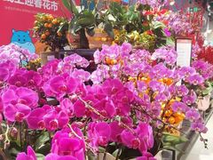 -盒马鲜生(皇庭广场店)