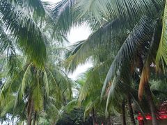 -白沙门生态公园