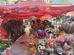 -碧桂园十里银滩