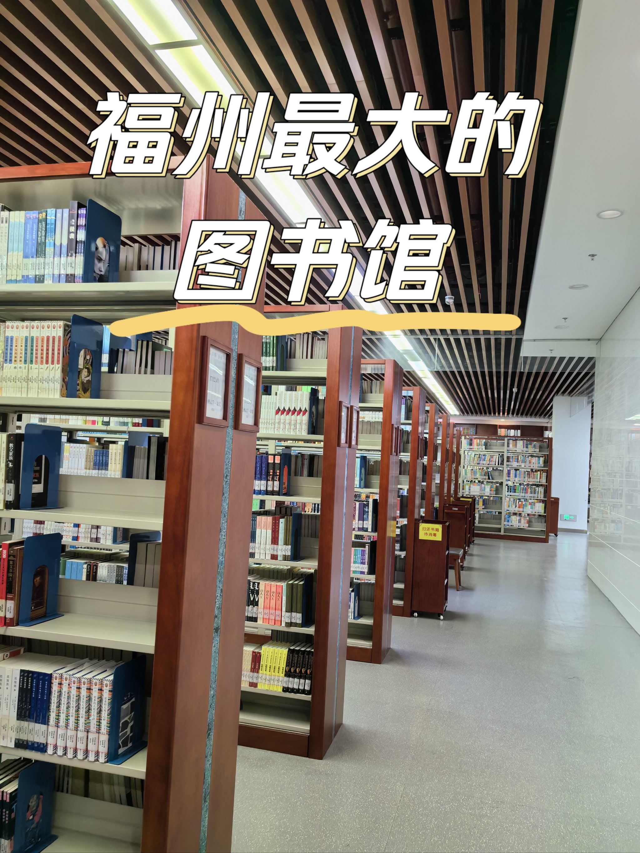 被震撼了!这个图书馆真的好大