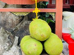 -西双版纳傣族园