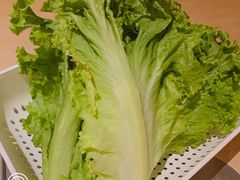 -新石器烤肉(中房金谊广场店)