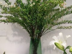 -溪岸路花鸟市场