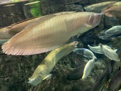 -成都浩海立方海洋公园