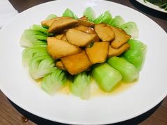 杏鲍菇-张生记(丁香国际店)
