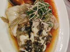 笋壳鱼-金时代顺风大酒店(金山店)