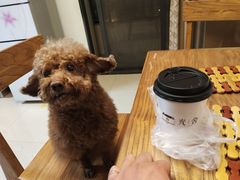 -光舍(香榭里花园店)