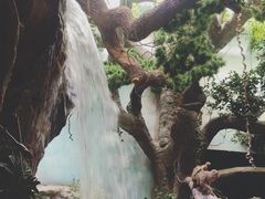 -多彩贵州城极地海洋世界