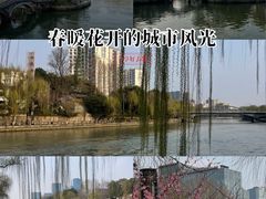 -运河游船(武林门码头)