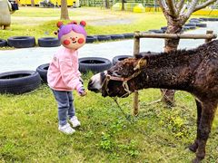 -前小桔亲子创意农场·草莓采摘·露营烧烤