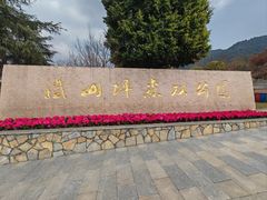 -铁山坪森林公园