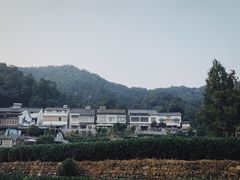 -龙井村