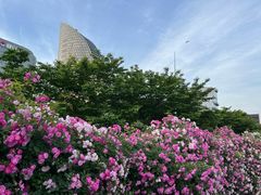 -丹东路渡口(轮渡站)