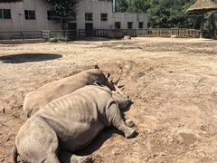 -鄂尔多斯野生动物园