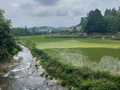 -天台山景区