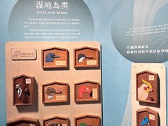 -中国湿地博物馆