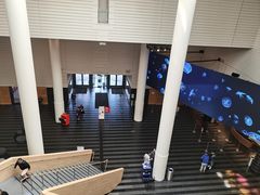 -旧金山现代艺术博物馆