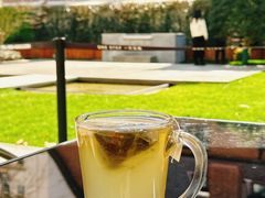 桂花秋梨茶-一尺花园(安和花园店)