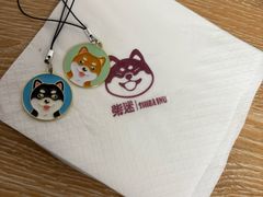 -柴迷FANS CLUB·柴犬狗咖·猫咖
