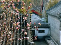 -颐和园