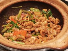 -煲煲好(朝阳门店)