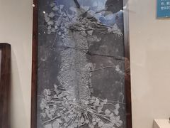 -安徽省地质博物馆