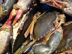 -金苑海鲜酒家(来魅力店)