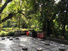 -广西壮族自治区药用植物园