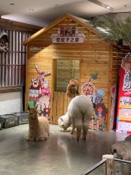 -造物庄园 萌宠纪(苏州湾歌林公园店)