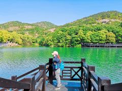 -白马涧龙池景区