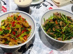 -壹盏灯(惠农店)