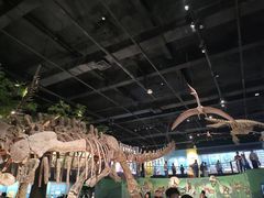 -国家自然博物馆