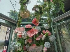 -正佳雨林生态植物园