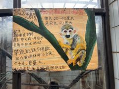 -昆明动物园