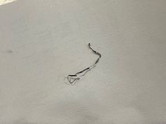 -陳八两面家(滨江天街店)