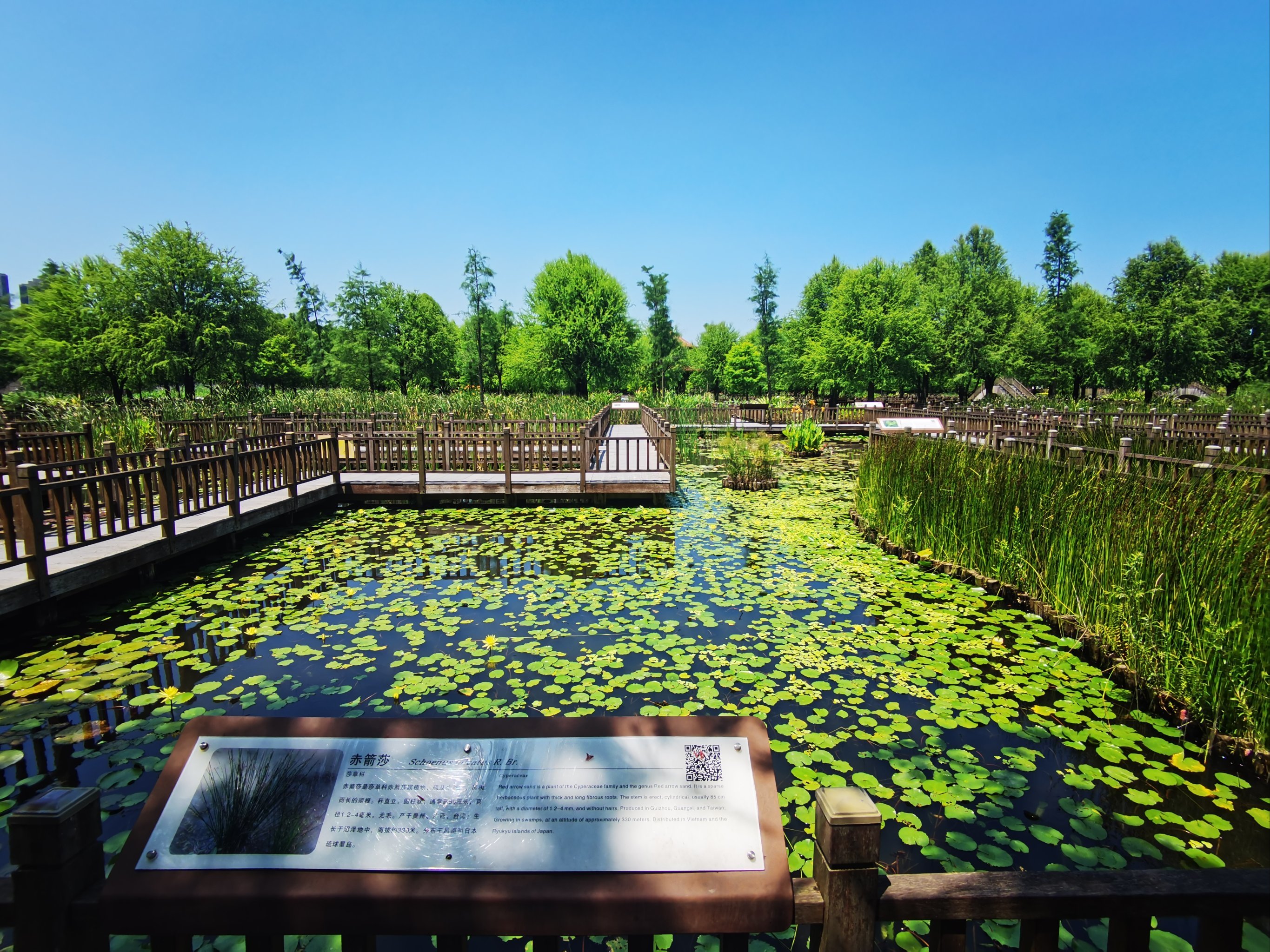 从五缘湾到环岛路