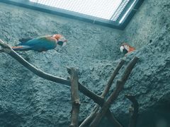 -武汉动物园