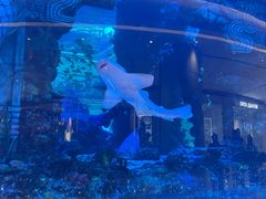 -观音桥步行街
