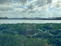 -湖畔居茶楼(湖滨店)