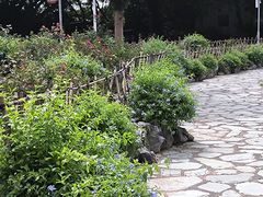 -东莞植物园