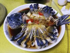 稀鳞硅鱼-煲来饱去冷水鱼
