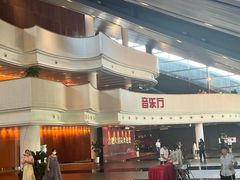 -合肥大剧院