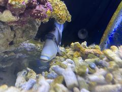 -沙沙哗啦海洋馆(华宇百花谷店)