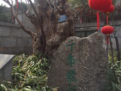 -西安关中民俗艺术博物院