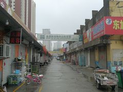 -白佛花鸟鱼虫批发市场小型宠物交易(东区)