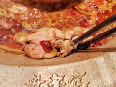 特色美蛙-哥老官重庆美蛙鱼头(宝山龙湖店)