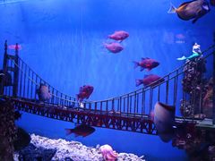 -太平洋海底世界