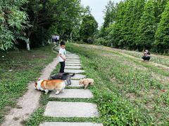 -桤木河湿地公园