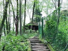 -青城山