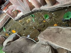 -和源祥·日照菜扛把子(万平口一店)